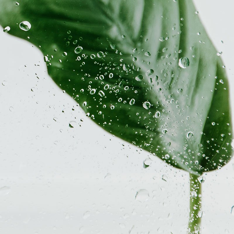 image mockup Agence Web à 360°