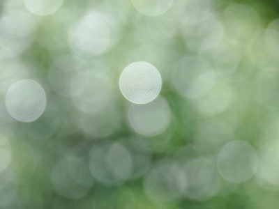 visuelle green Agence Web à 360°