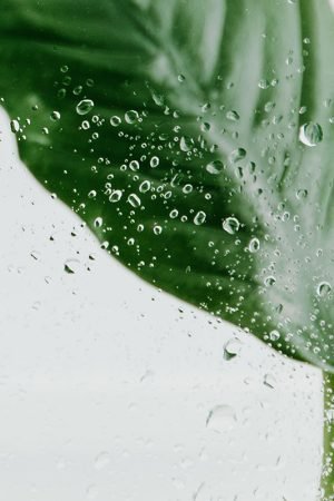 image mockup Agence Web à 360°